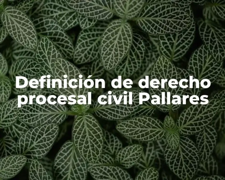 Definición de derecho procesal civil Pallares