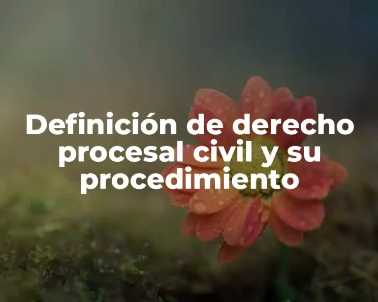 Definición de derecho procesal civil y su procedimiento