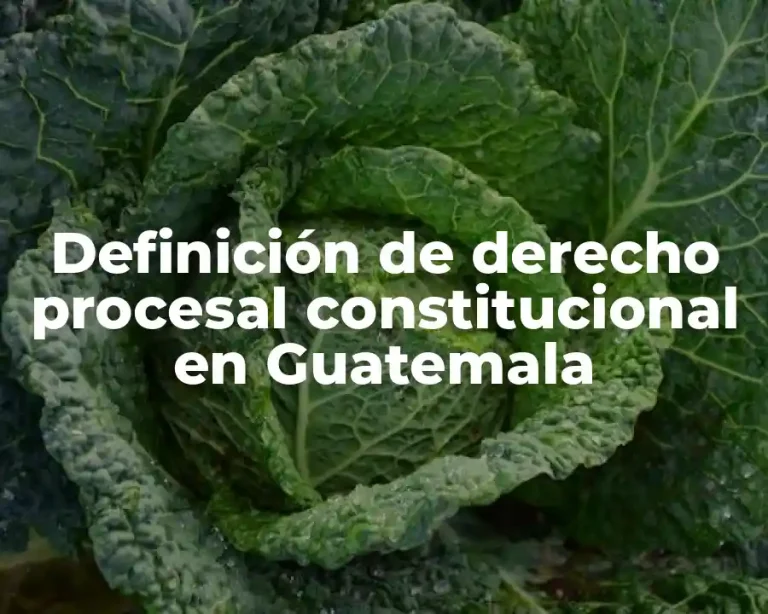 Definición de derecho procesal constitucional en Guatemala