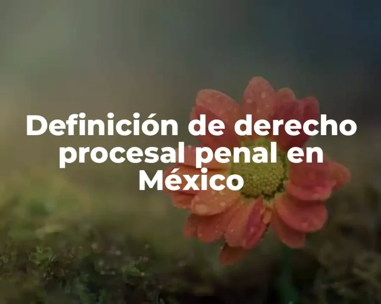 Definición de derecho procesal penal en México