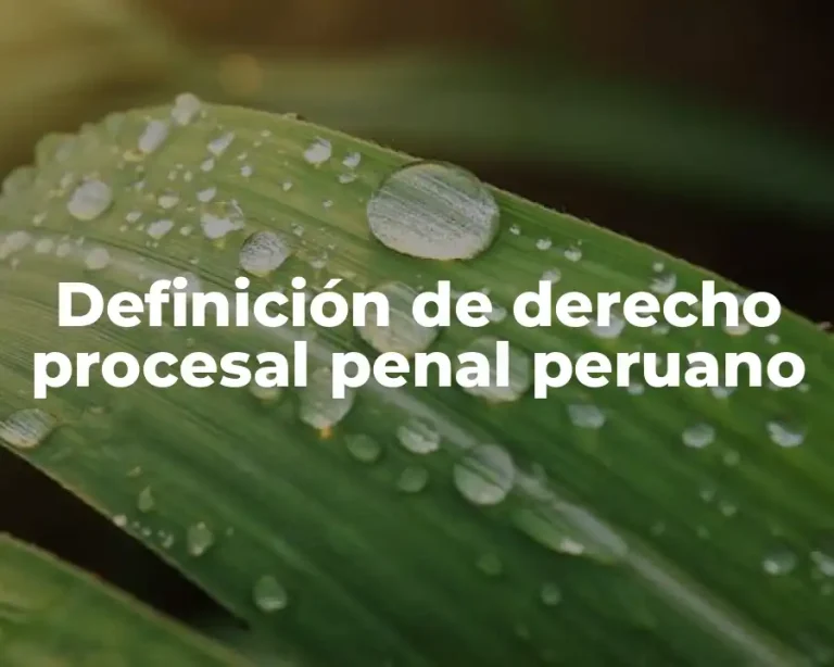 Definición de derecho procesal penal peruano