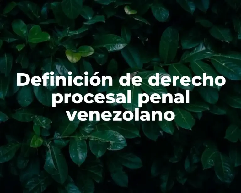Definición de derecho procesal penal venezolano