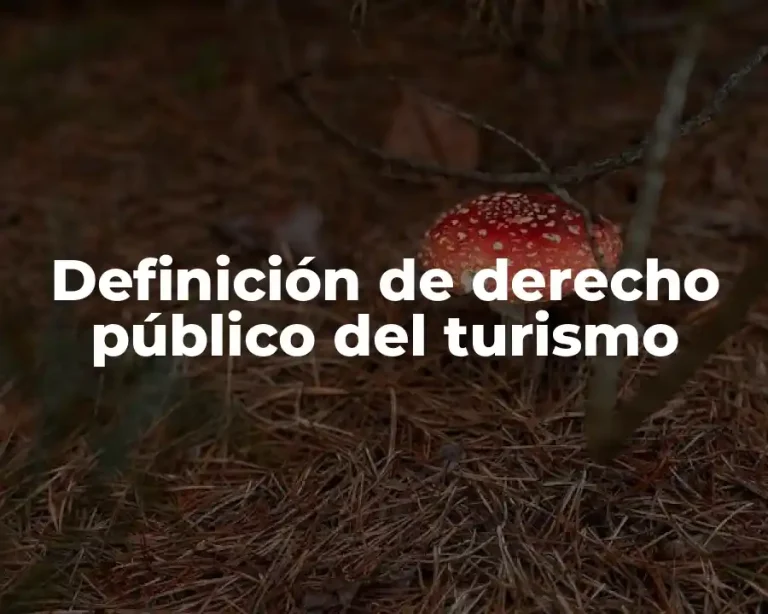 Definición de derecho público del turismo