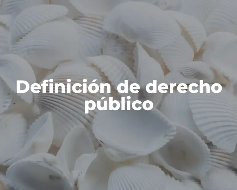 Definición de derecho público