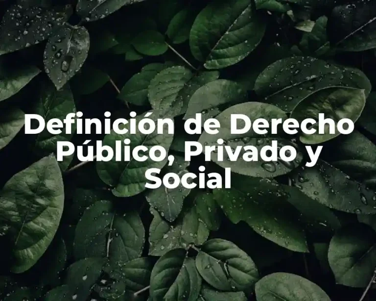 Definición de Derecho Público, Privado y Social