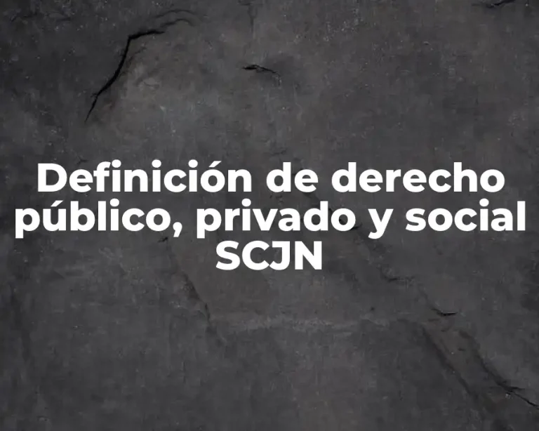 Definición de derecho público, privado y social SCJN