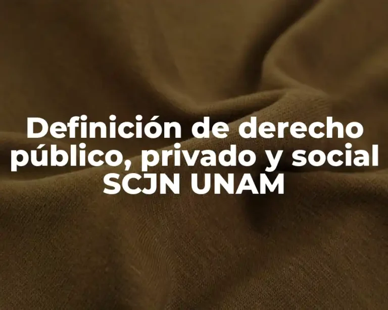 Definición de derecho público, privado y social SCJN UNAM