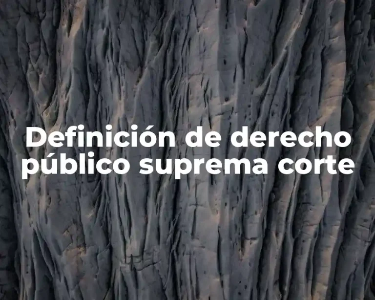 Definición de derecho público suprema corte