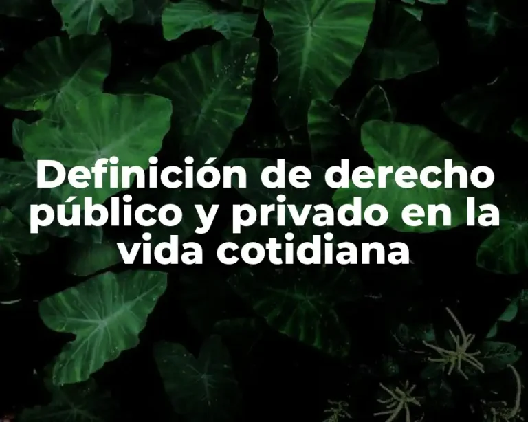 Definición de derecho público y privado en la vida cotidiana