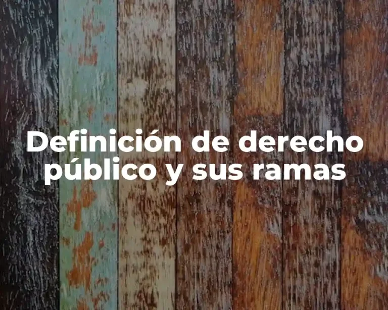 Definición de derecho público y sus ramas