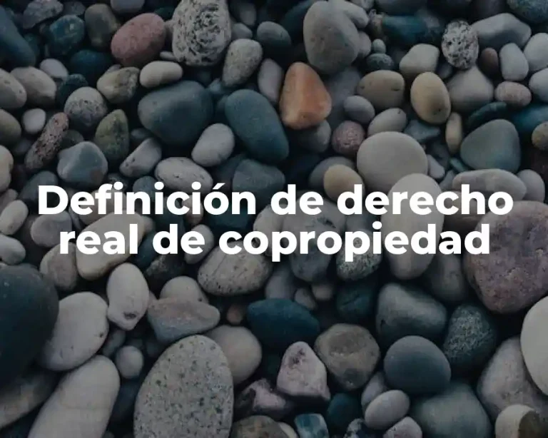 Definición de derecho real de copropiedad