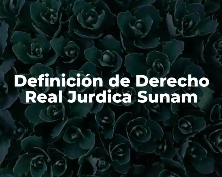 Definición de Derecho Real Jurdica Sunam