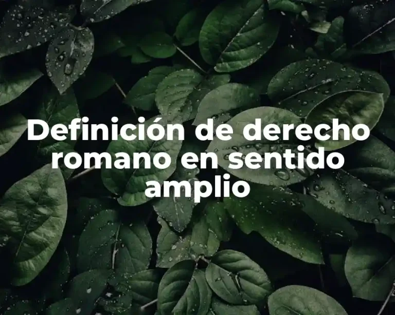 Definición de derecho romano en sentido amplio