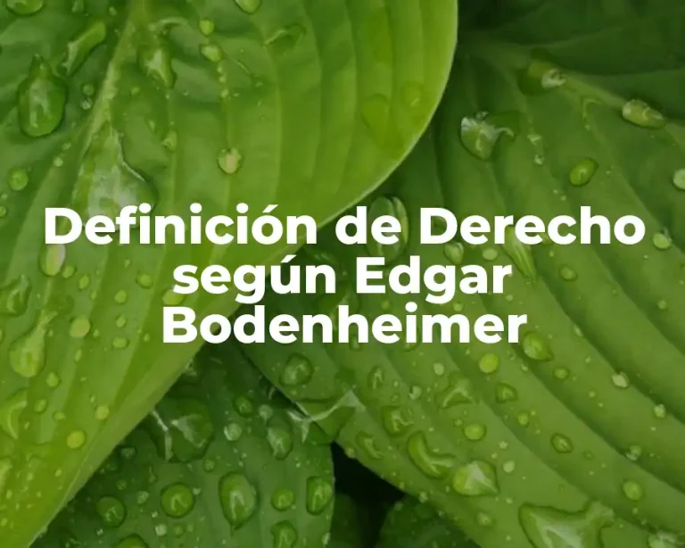 Definición de Derecho según Edgar Bodenheimer