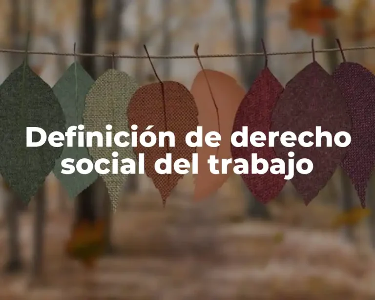 Definición de derecho social del trabajo