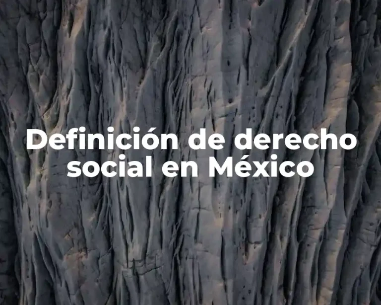 Definición de derecho social en México