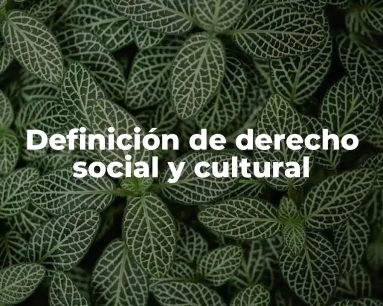 Definición de derecho social y cultural