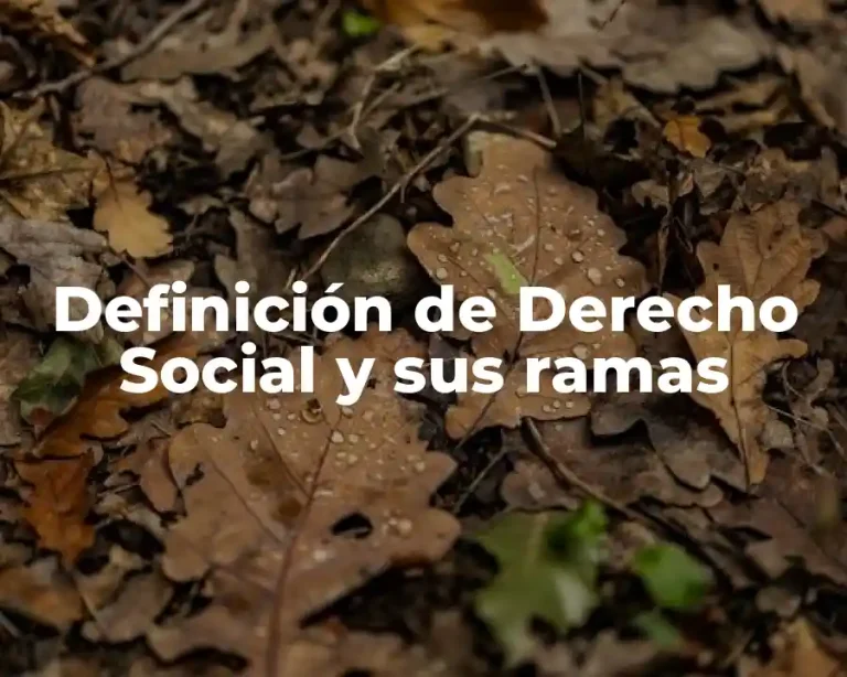 Definición de Derecho Social y sus ramas