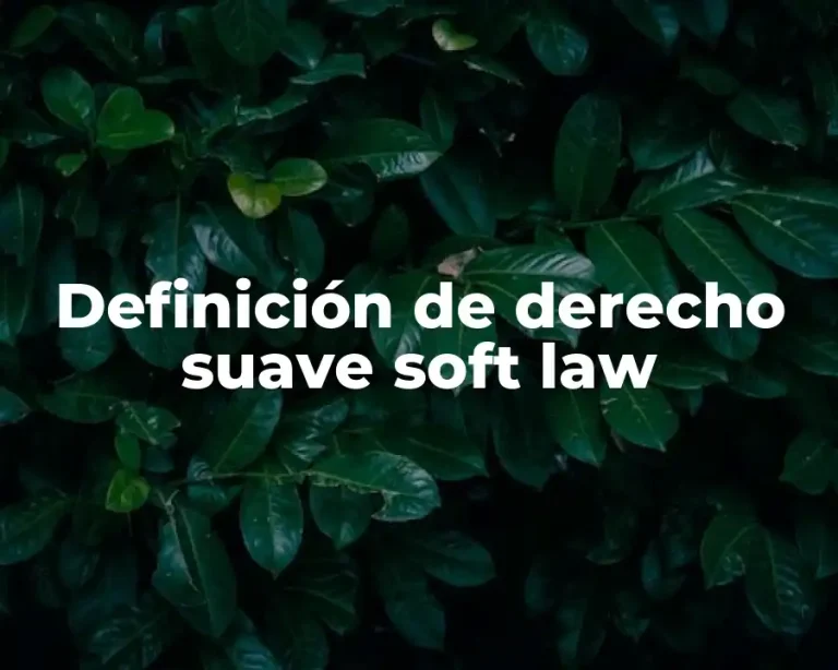 Definición de derecho suave soft law