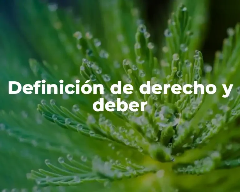Definición de derecho y deber