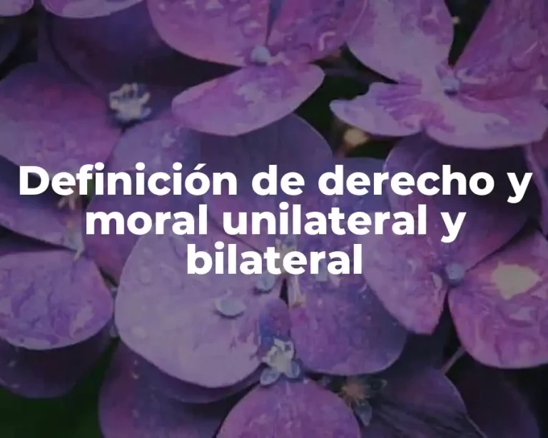 Definición de derecho y moral unilateral y bilateral