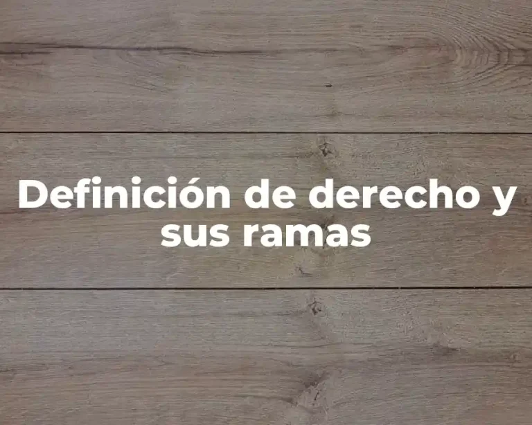 Definición de derecho y sus ramas