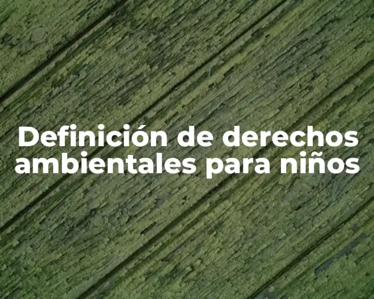 Definición de derechos ambientales para niños