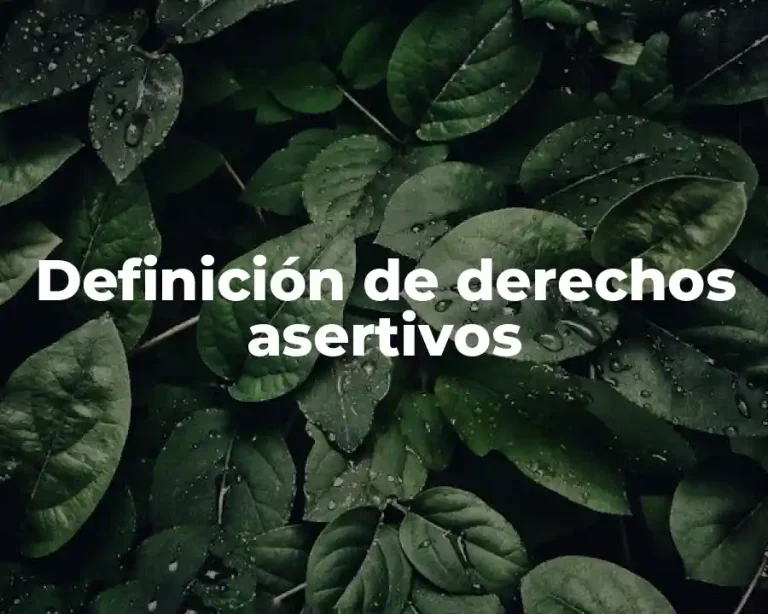 Definición de derechos asertivos