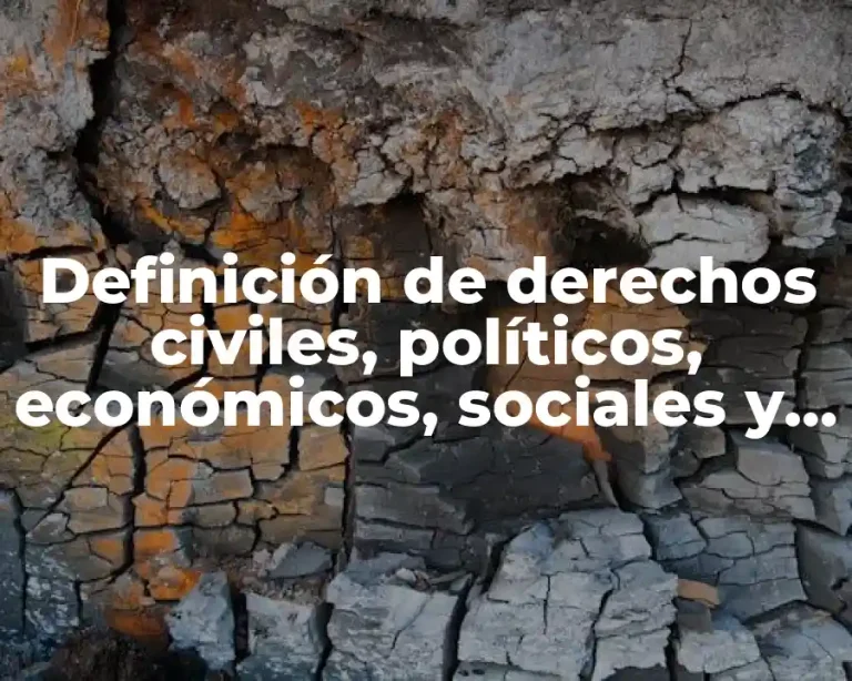 Definición de derechos civiles, políticos, económicos, sociales y culturales