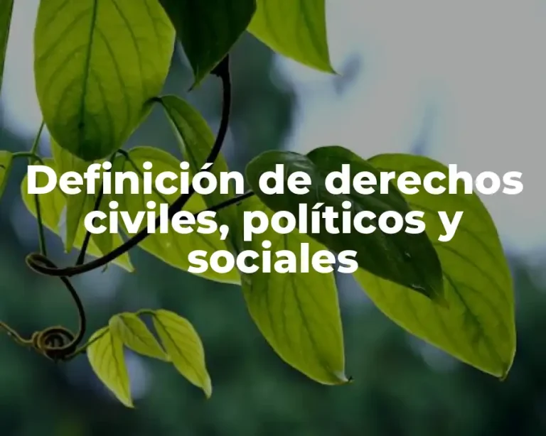 Definición de derechos civiles, políticos y sociales