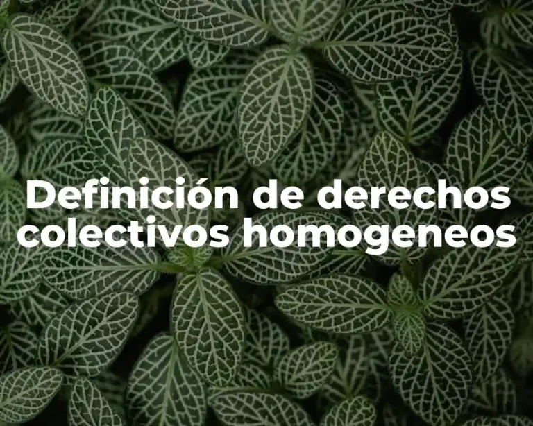 Definición de derechos colectivos homogeneos