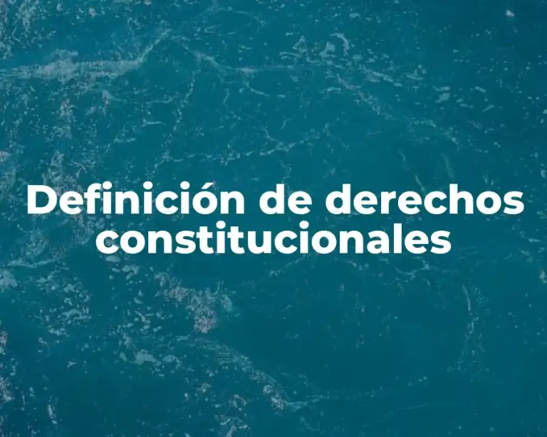 Definición de derechos constitucionales