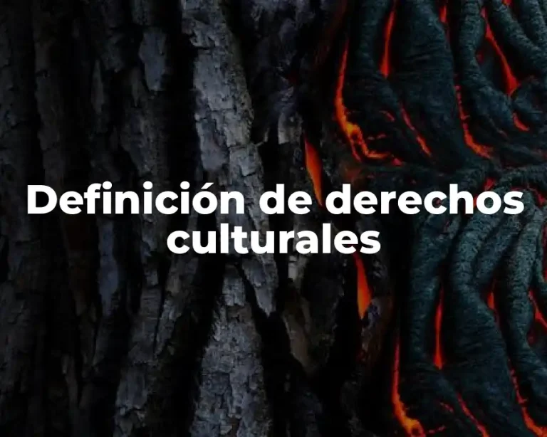 Definición de derechos culturales