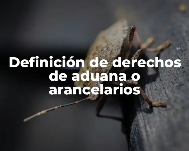 Definición de derechos de aduana o arancelarios