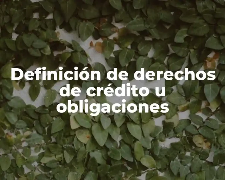 Definición de derechos de crédito u obligaciones
