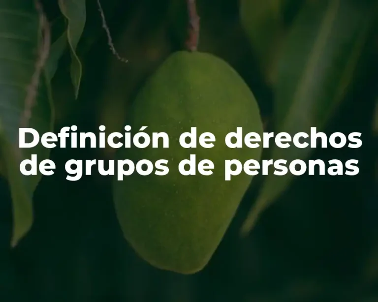 Definición de derechos de grupos de personas