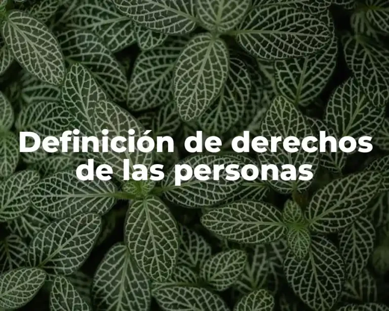 Definición de derechos de las personas