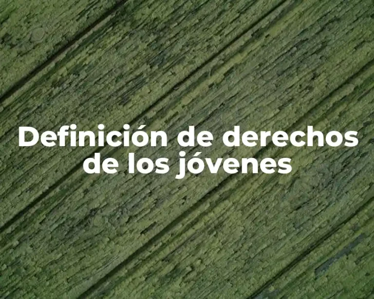 Definición de derechos de los jóvenes