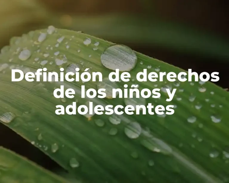 Definición de derechos de los niños y adolescentes