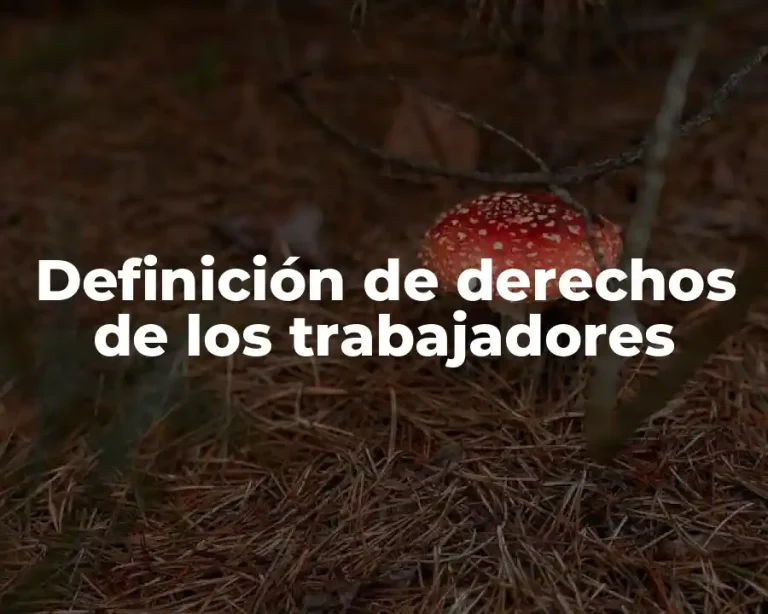 Definición de derechos de los trabajadores