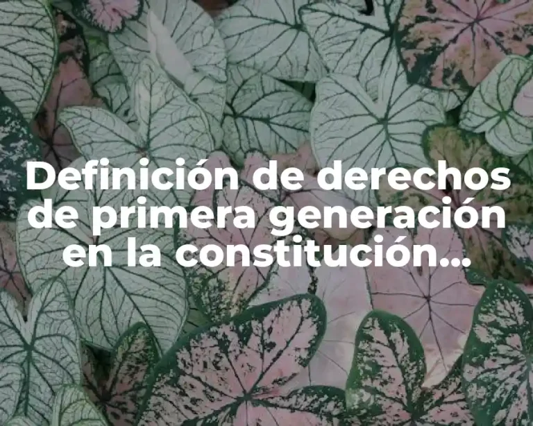 Definición de derechos de primera generación en la constitución mexicana