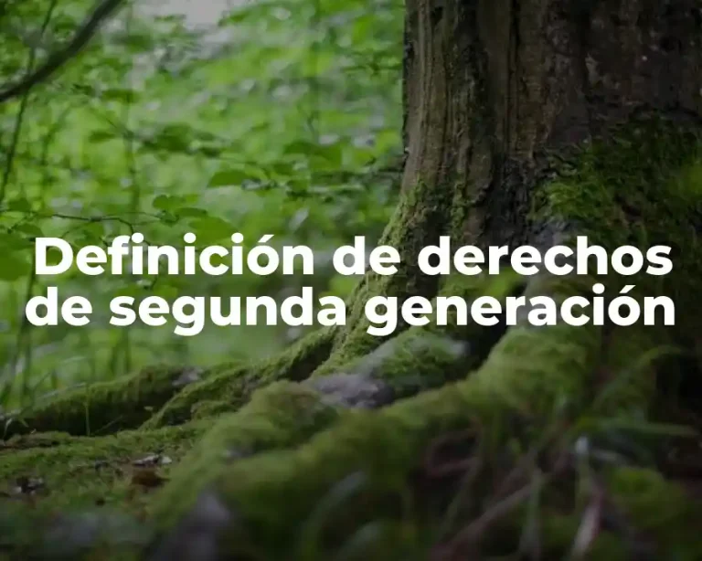 Definición de derechos de segunda generación