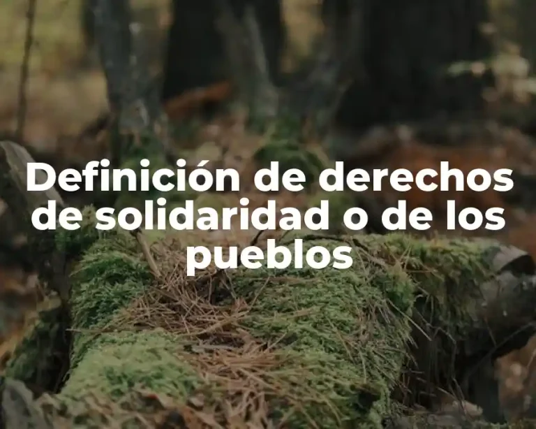 Definición de derechos de solidaridad o de los pueblos