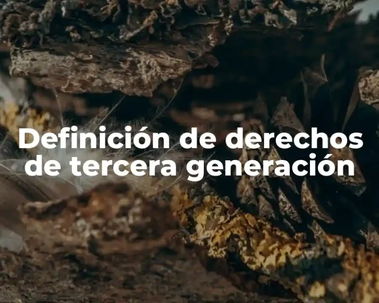 Definición de derechos de tercera generación