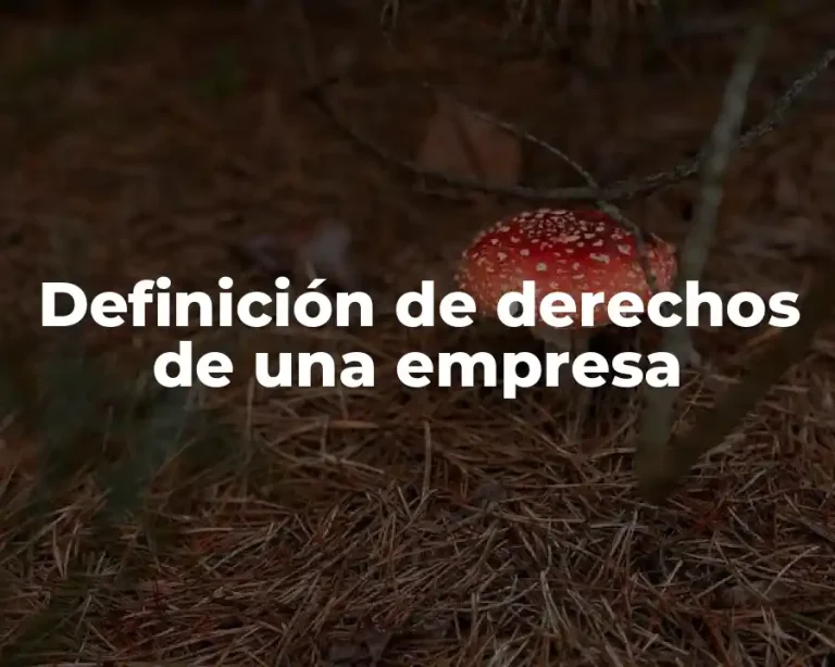 Definición de derechos de una empresa