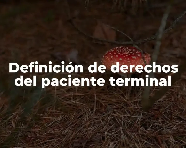 Definición de derechos del paciente terminal