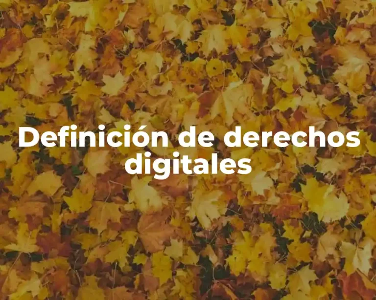 Definición de derechos digitales