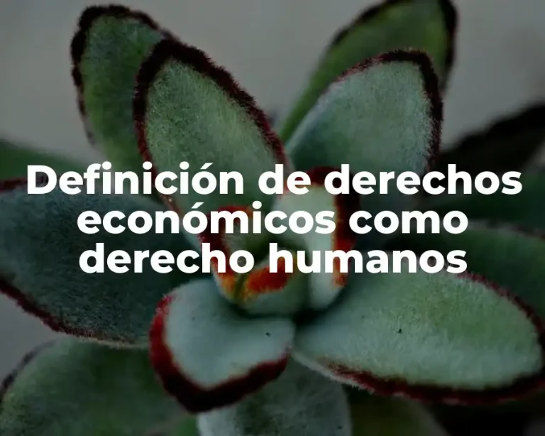 Definición de derechos económicos como derecho humanos