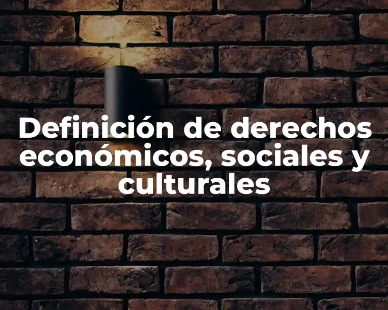 Definición de derechos económicos, sociales y culturales