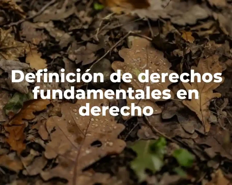 Definición de derechos fundamentales en derecho